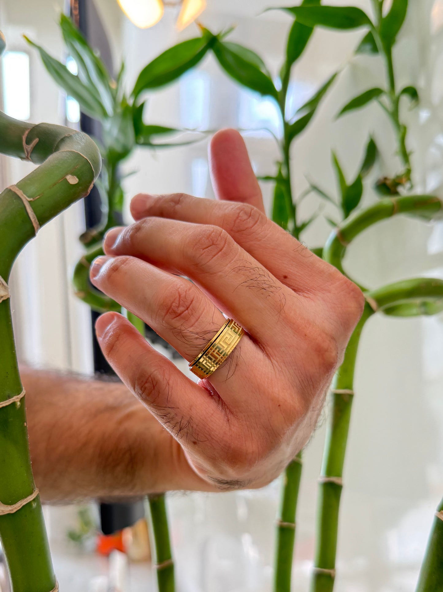 Golden rotating men’s ring size 10