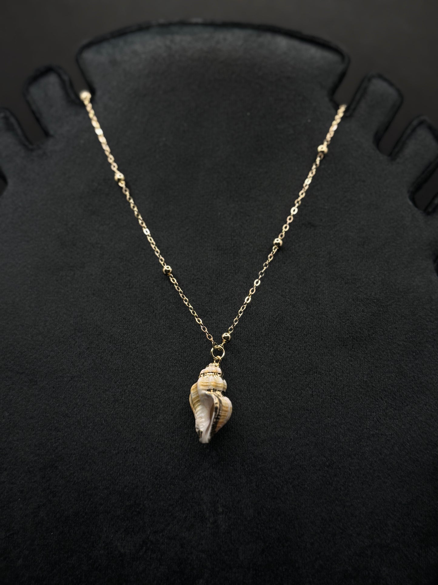 Conch shell necklace