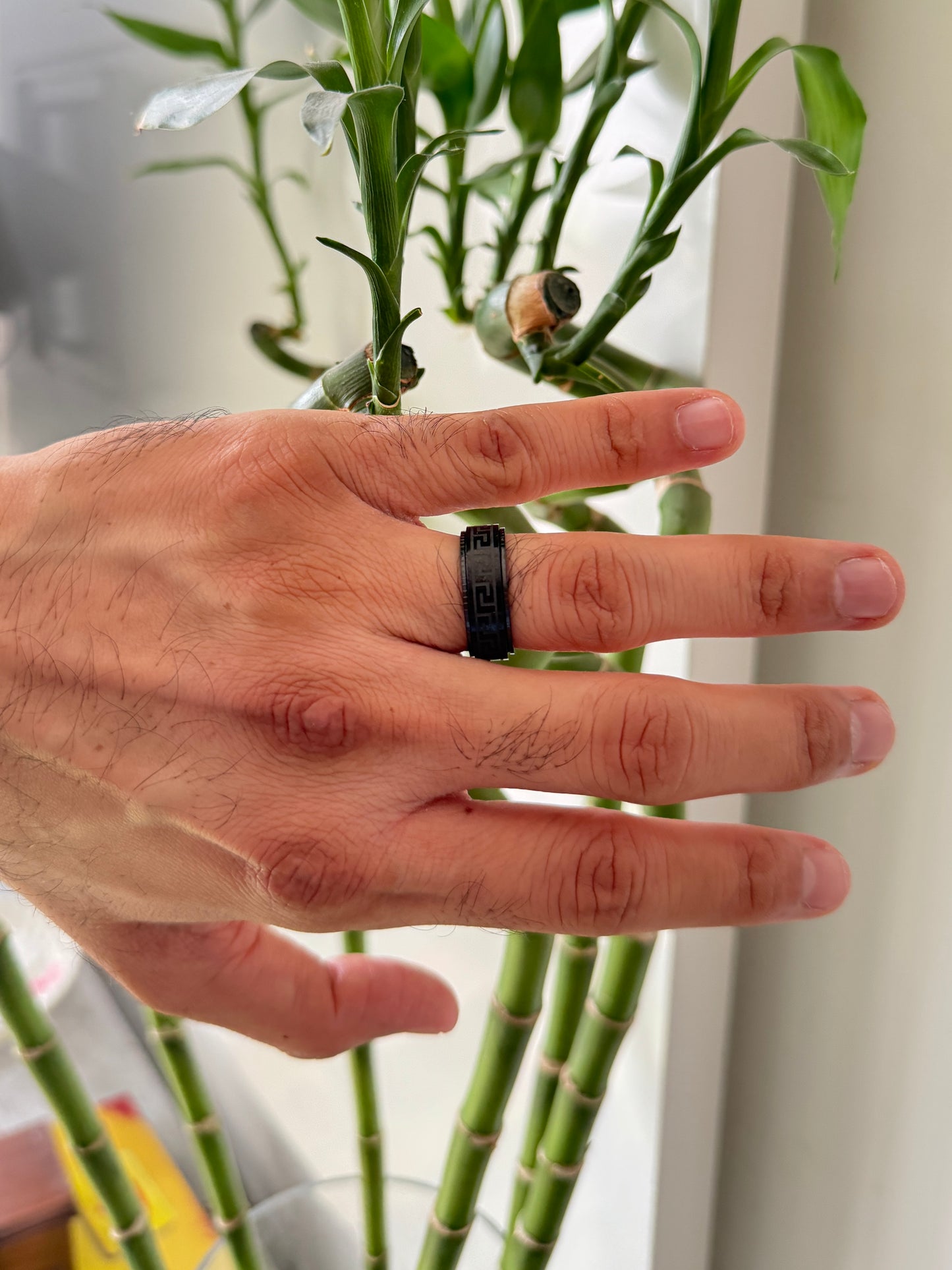 Black rotating mens ring size 10