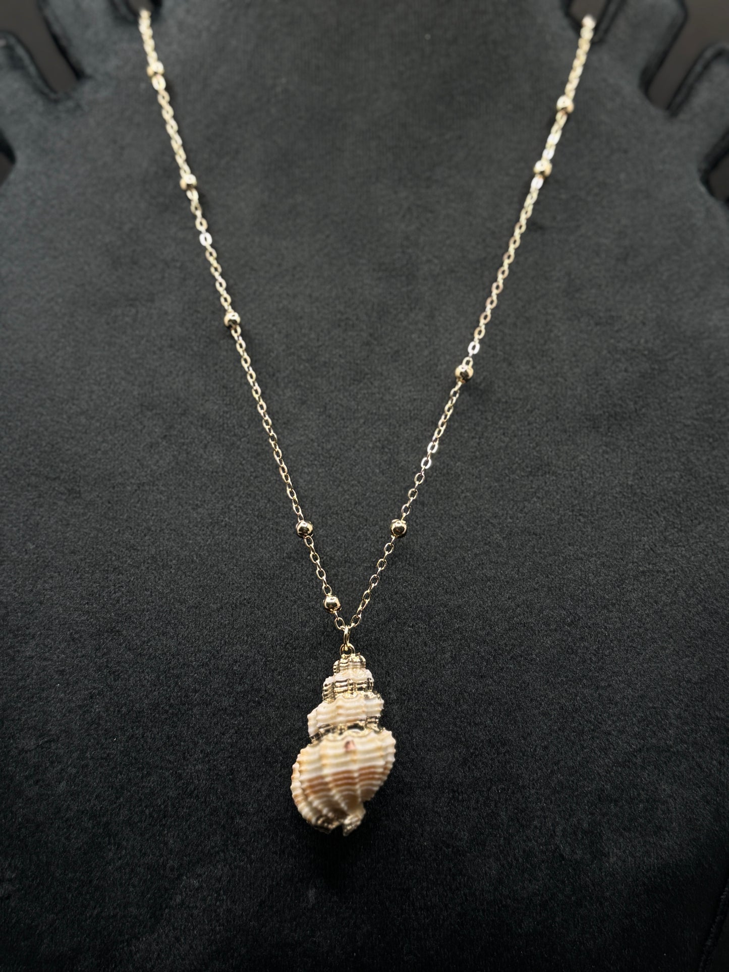 Exquisite Gold-Tone Conch Shell Necklace