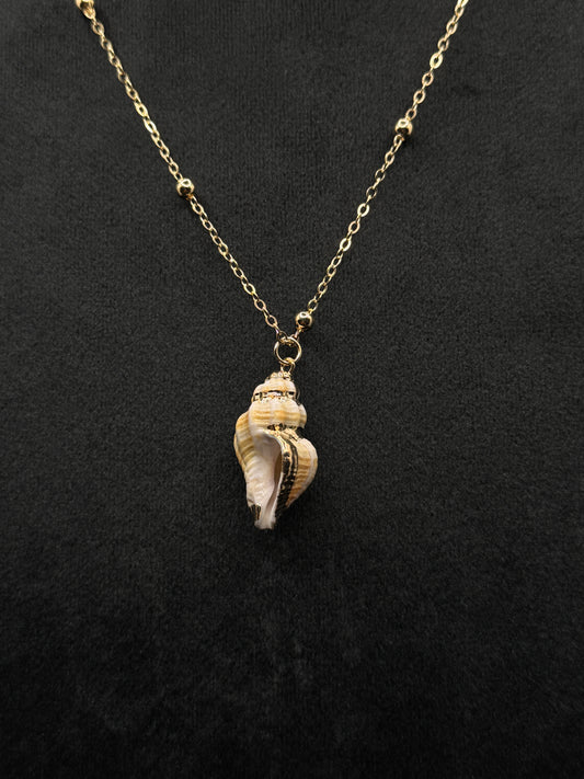 Conch shell necklace
