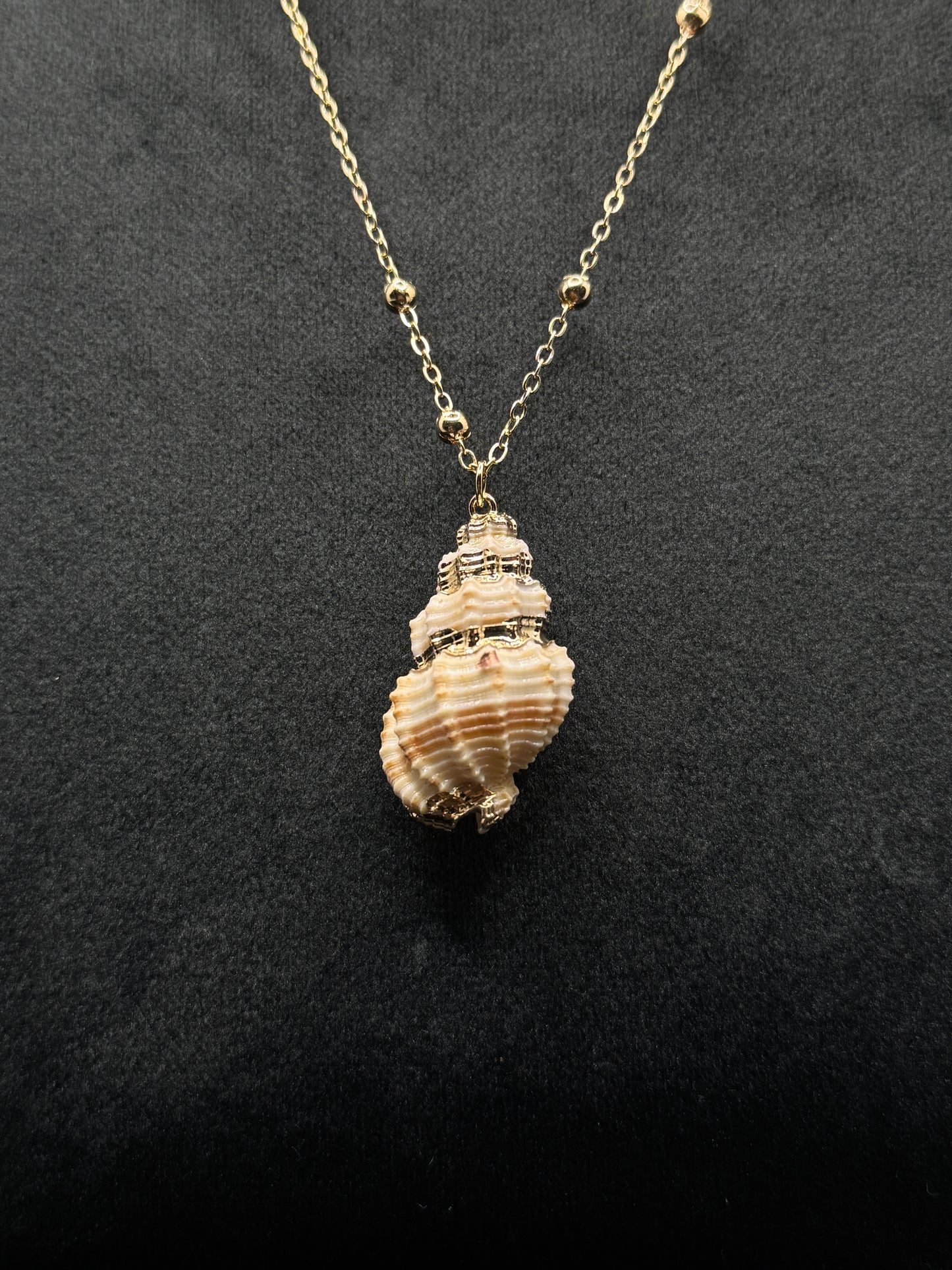Exquisite Gold-Tone Conch Shell Necklace