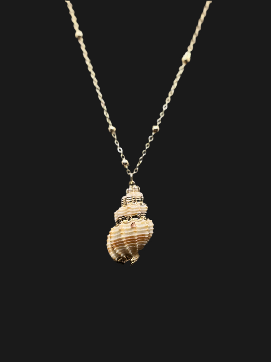 Exquisite Gold-Tone Conch Shell Necklace
