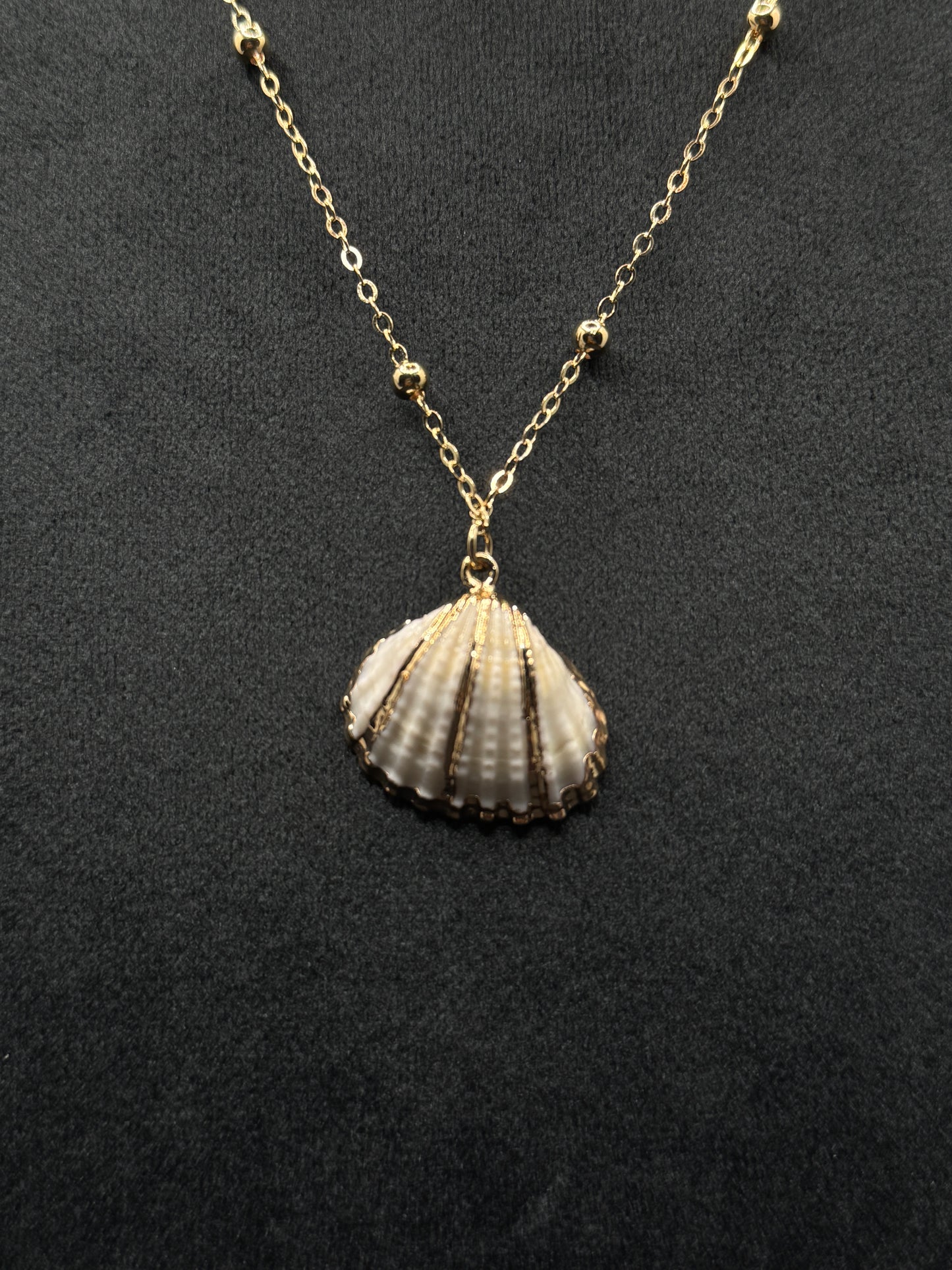 Chic Gold-Tone Seashell Pendant Necklace