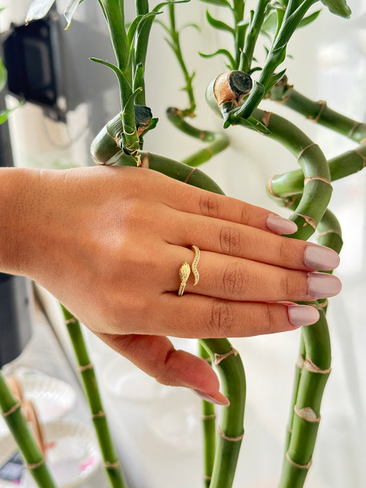 Korean anti tarnish ring in snake design