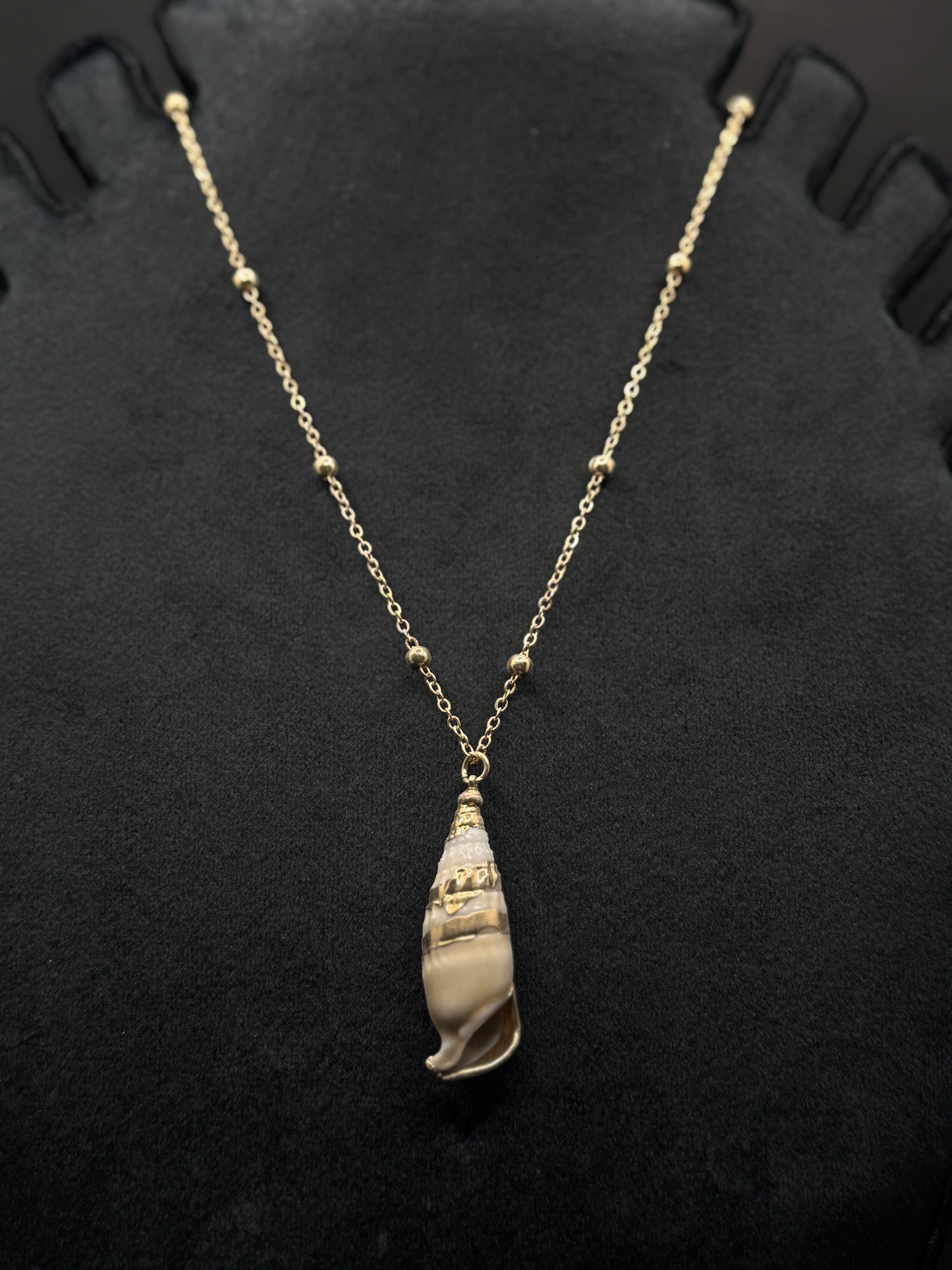 Elegant Gold-Tone Spiral Seashell Necklace