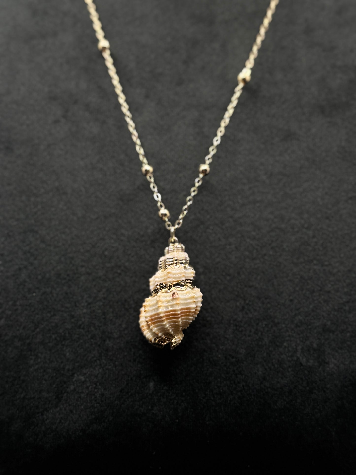 Exquisite Gold-Tone Conch Shell Necklace