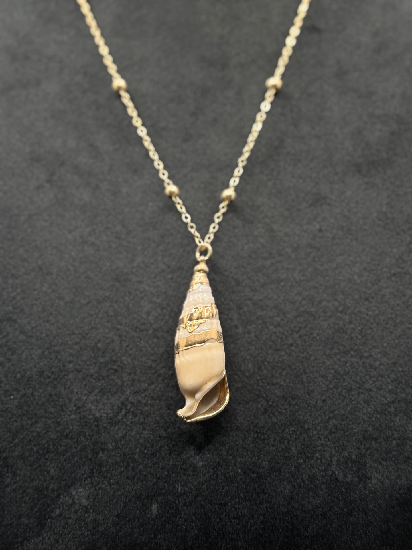 Elegant Gold-Tone Spiral Seashell Necklace